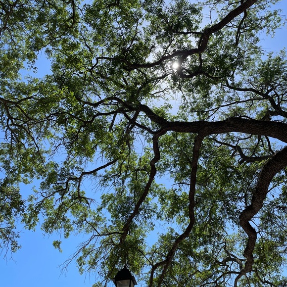 Meet your Posher, Carol - Picture 2 of 4